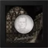 Picture of 2023 CIT Typefaces: Frankenstein 1 oz Proof Silver Coin - 30409