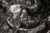 Picture of 2023 CIT Ferryman of the Dead: Charon 3 oz UHR Black Proof Silver Coin - 30417