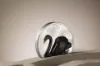 Picture of 2032 CIT Black Swan 2 oz Ultra High Relief Black Proof Silver Coin - 30254