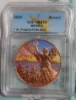 Picture of 2024 Mexico Libertad / Flag Onza 1 oz Colorized Copper Round ICG Graded MS 70