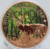 Picture of 2024 White Tailed Deer Rifle & Flag 1 oz Colorized Copper Round ICG Graded MS 70