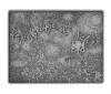 Picture of 2023 Starry Night Vincent Van Gogh 1 oz Silver & 14 oz Copper Collectible Coin