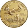 Picture of American Gold Eagle TEST - C2
